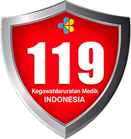 Logo PSC 119